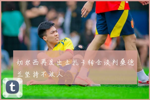 切尔西再度出击扎卡转会谈判桑德兰坚持不放人